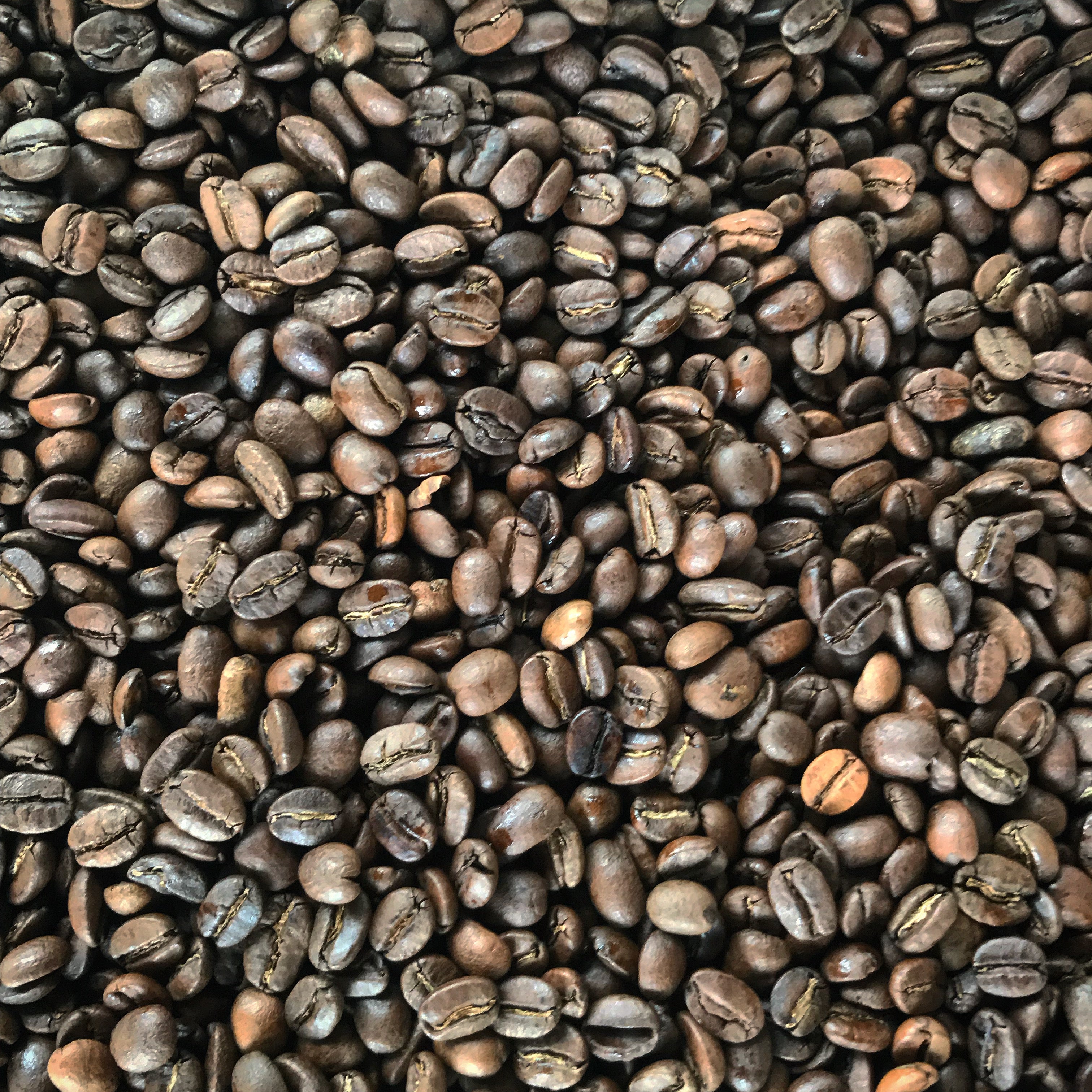 14th Coffee Co 5lb Specialty Whole Bean Coffee - 5 x 1lb bags